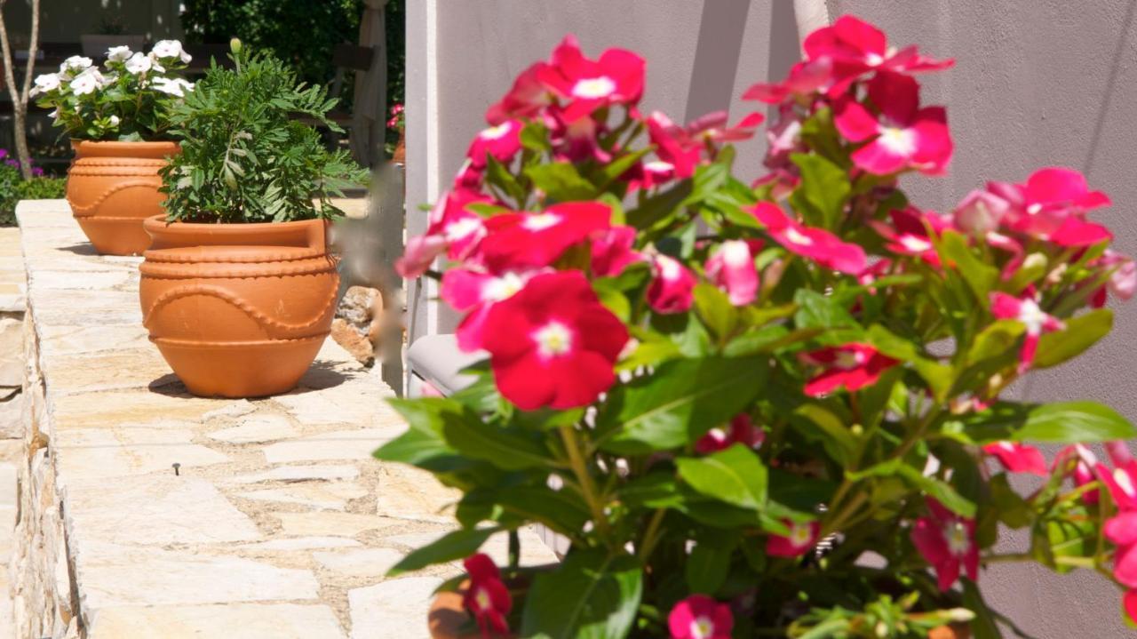 Domenica Apts I Laganas Dış mekan fotoğraf
